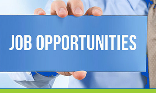 Job Opportunities