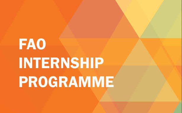 fao intern FAO Internship Programme