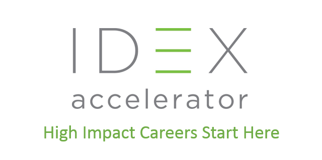 IDEX-Global-Fellowship-Program-in-India-2018
