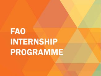 FAO Internship Programme