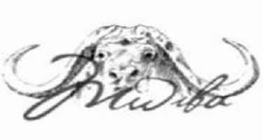 4 Driving Cum Walking Guide Jobs at Mwiba Holdings Limited