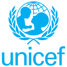 Resource Mobilization Specialist Job Opportunity at UNICEF